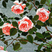 Rie Yamada Gallery